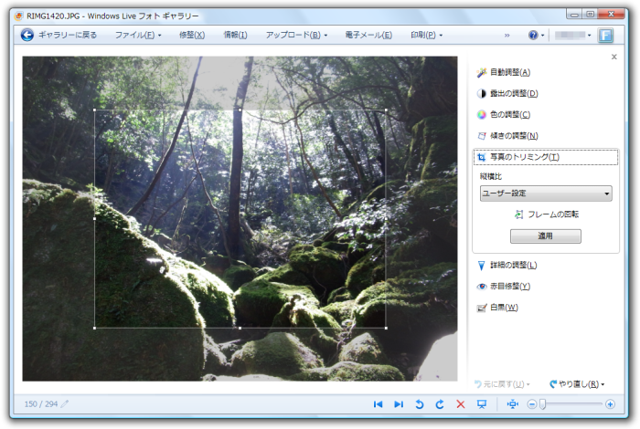 修正 - 写真のトリミング