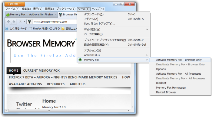 Memory Fox