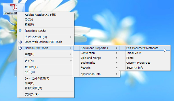 「Debenu PDF Tools」⇒「Document Properties」⇒「Edit Document Metadata」