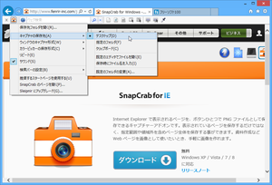 SnapCrab for IE