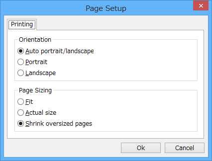 Page Setup（ページ設定）