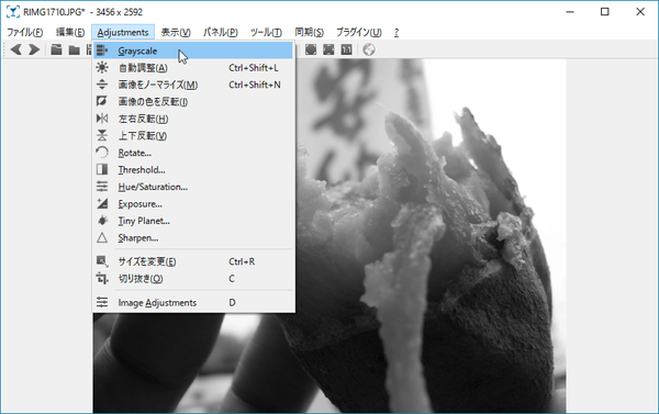 「Adjustment」⇒「Grayscale」