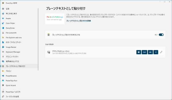 設定 - プレーンテキストとして貼り付け