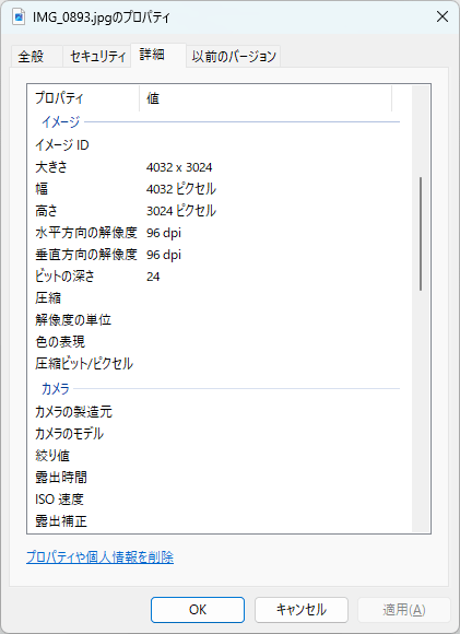 Exif 情報削除後のプロパティ画面（詳細タブ）