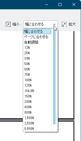 表示倍率の調整