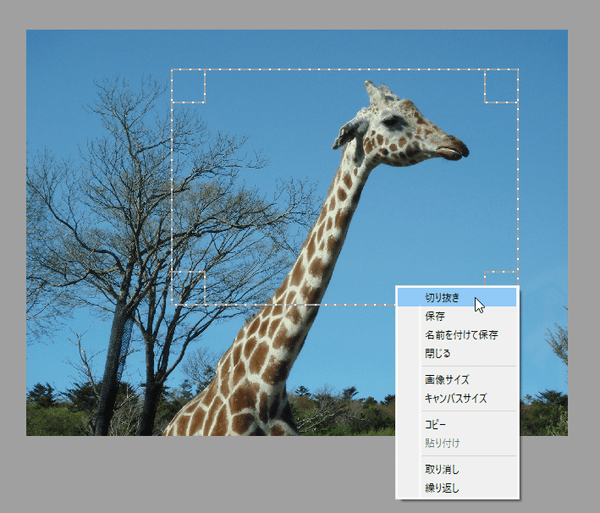 ドラッグして範囲選択した後、右クリックメニューから「切り抜き」でクロップ