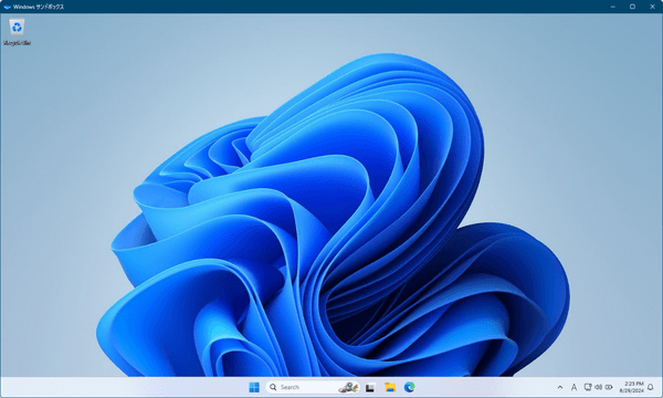 Windows サンドボックス画面